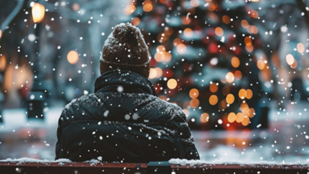 person sitting on bench in the snow looking at christmas tree