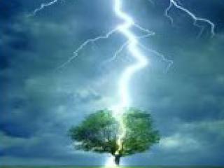 lightning hitting a tree