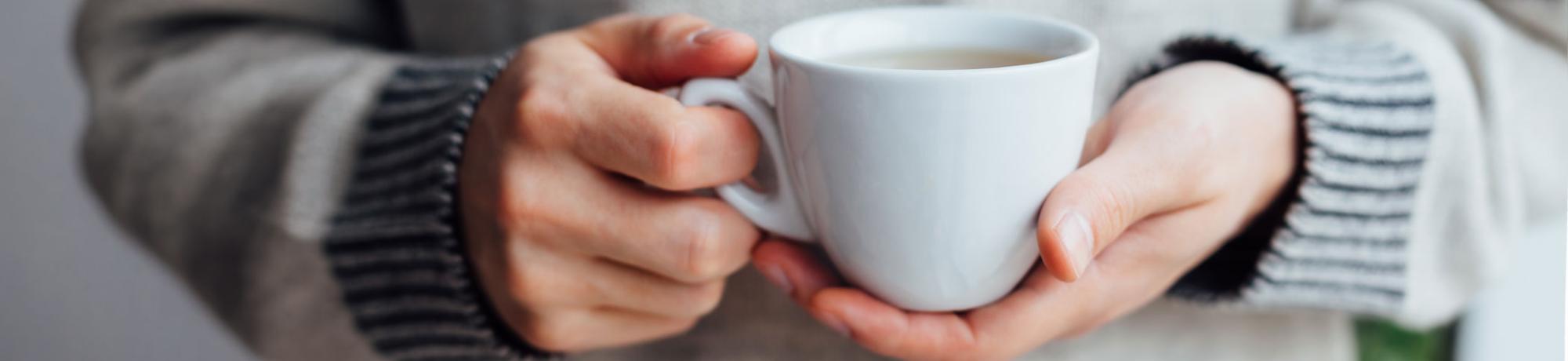 a bruin holds a warming cup of tea